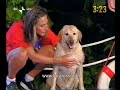 Scommettiamo Che - Cindy ( Centro Studi del Cane ) Scommettiamo Che - Cindy ( Centro Studi del Cane )