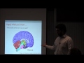 Learning and Memory 