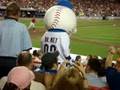 Mr. Met