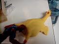 Spiderman and Chicken