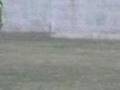 videos de Yeka jugando fulbito