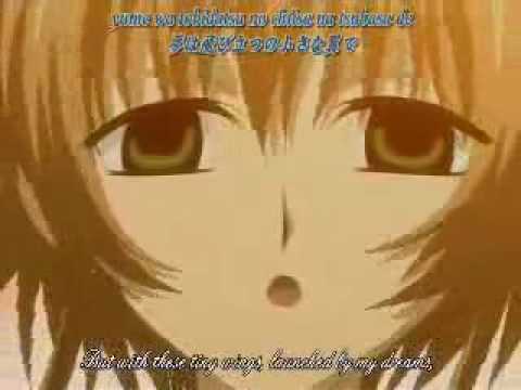 Tsubasa Chronicle / you are my love ...