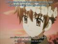 Tsubasa Chronicle / you are my love (sakura version)