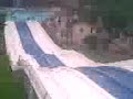 nopalera