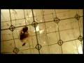 videos de El código Da Vinci // The Da Vinci Code Trailer
