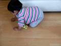 videos de Vale gateando