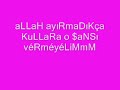 MSN NICKLERI (türkisch)