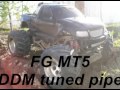 fg mt bash   jumps
