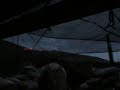 gatorback-firefight.html