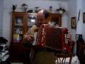 tocar concertina 00
