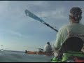 Tarpon Off The Beach
