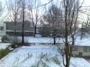 Snowy morning from My Honigkamp view...
