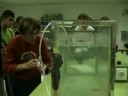 Demostración submarinos