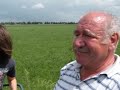 Lanz Glühkopf Traktor Lanz Glühkopf Traktor