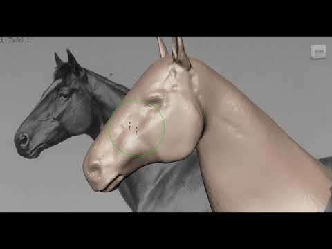Autodesk Mudbox 2018.2 - Dynamic Tessellation (Horse 3 min)
