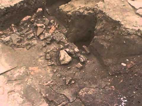 guarda il video
