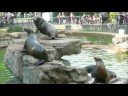 Day at the St. Louis Zoo