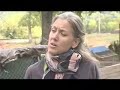 The Point - The Wildlife Biologist The Point - The Wildlife Biologist