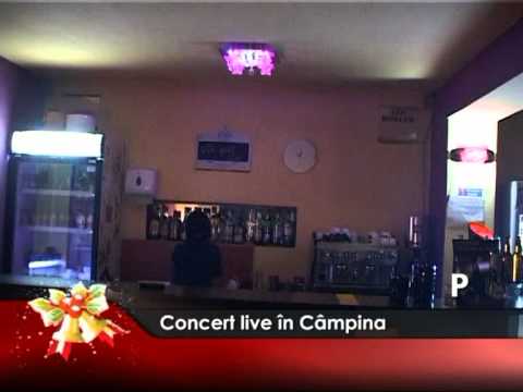 Concert live în Câmpina