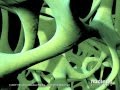 LifeNet: Preservon