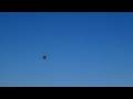 videos de patrulla aspa