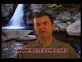 Probiotics - The Friendly Bacteria Required by the Body