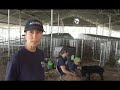 IFAW Rescue Shelter in Texas