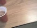 pro