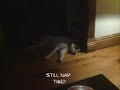 Click here to watch this video Spinks Video and Pics.wmv