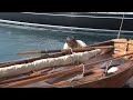 Aello sailing yacht