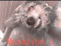Yo y mi perrita KIRA.