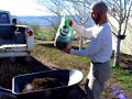 Planting Grass in Arizona Planting Grass in Arizona