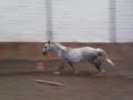 Libert�