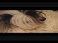 2009-01-06 | Cash-Chinese Crested Dog ~> Chinese Crested Monster ... (00:37)