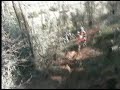 3� off road.wmv