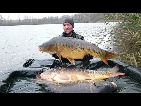 Brocard Large Netting, Dec '14, Feb 2015 Brocard Large Netting, Dec '14, Feb 2015