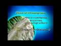 wheatgrass 3