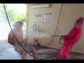 Hostel 4: The Human Carwash