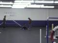 videos de Fever Malinois AKC Novice Agility