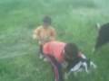 videos de Vidéo(07)