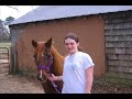 Maggie *The Danger* Pony Euthanized UNFAIRLY!! Maggie *The Danger* Pony Euthanized UNFAIRLY!!