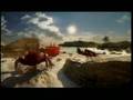 Budwiser Crabs (superbowl commercial)