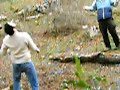 bosque de pome