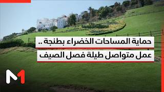 حماية المساحات الخضراء بطنجة .. عمل متواصل طيلة فصل الصيف