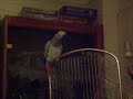Mi loro