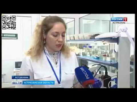 Специалисты Управления Россельхознадзора проверяют качество посадочного материала в Астраханской области
