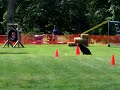 CT police K9 Olympics