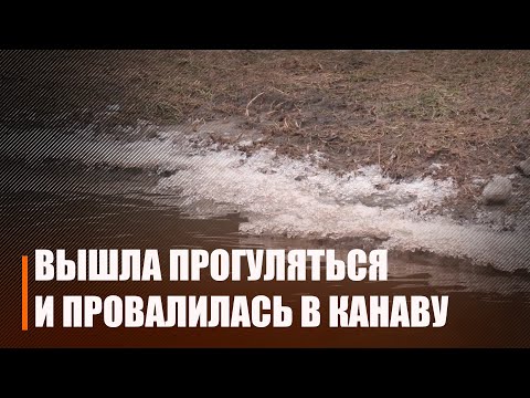 Под Брагином 92-летняя жительница вышла прогуляться вдоль дороги, поскользнулась и упала в канаву видео