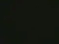 grup nevroz grup nevroz