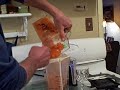 Carrot Juice Carrot Juice